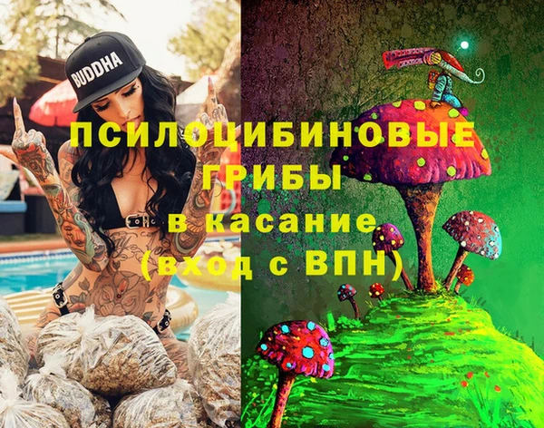 хмурый Алзамай