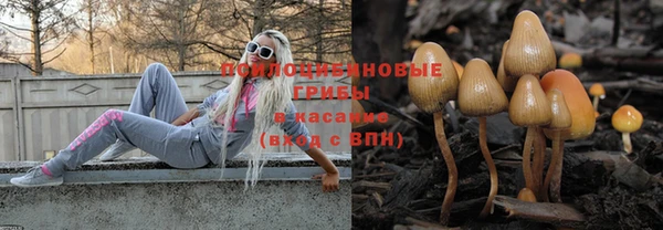 твердый Абдулино