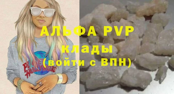 хмурый Алзамай