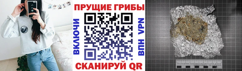 Псилоцибиновые грибы GOLDEN TEACHER где можно купить наркотик Новосиль